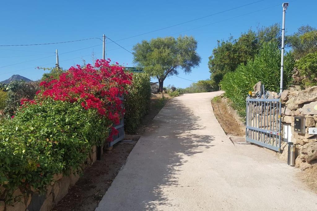 Villa Sara Olbia Exterior foto
